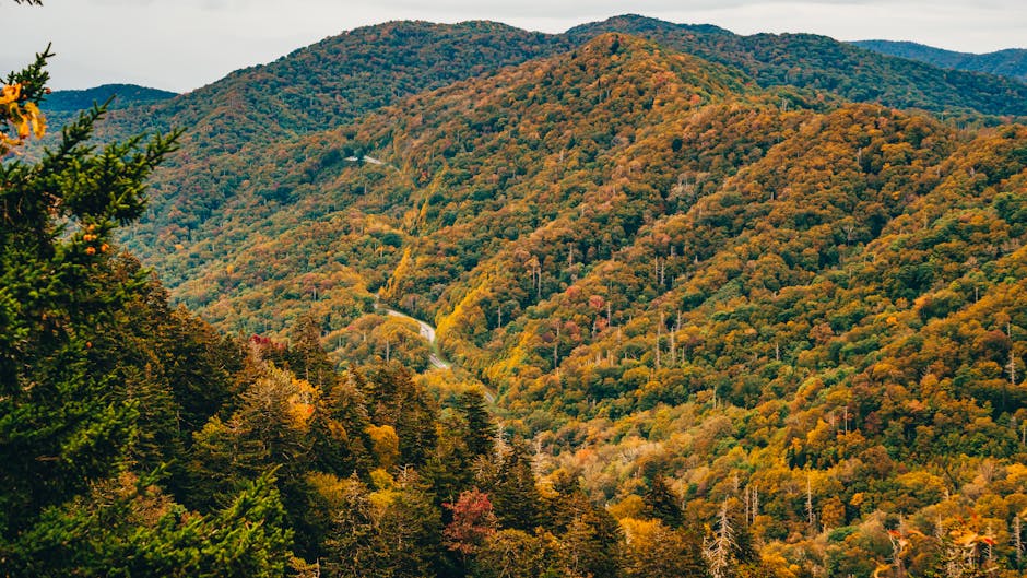 Best Autumn Destinations Travel Guide: Top Fall Getaways in 2024