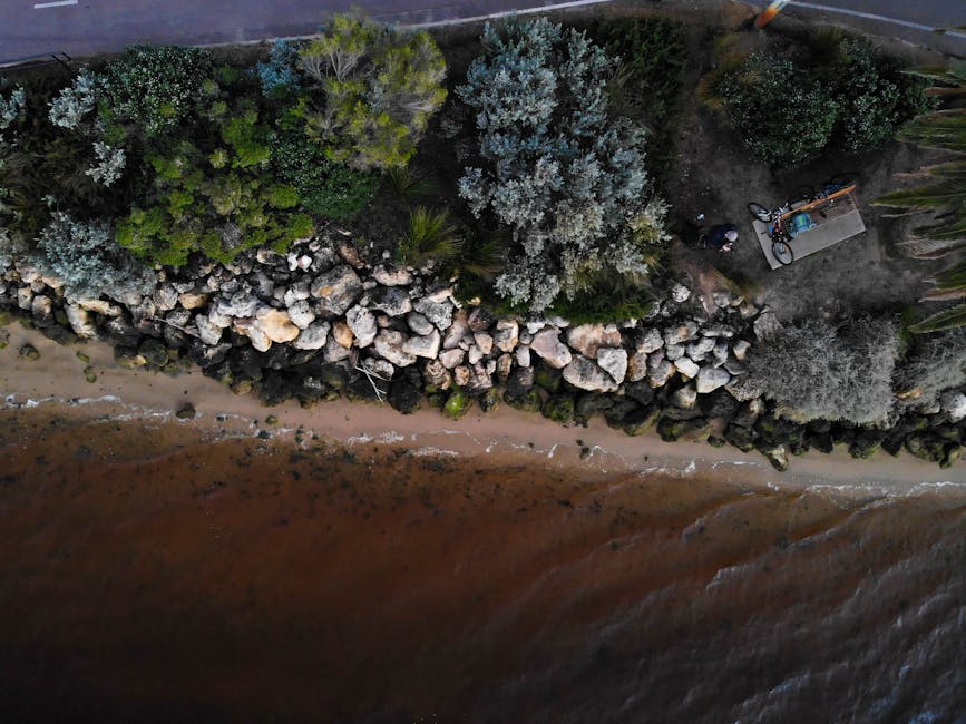 Best Beaches in Australia Travel Guide