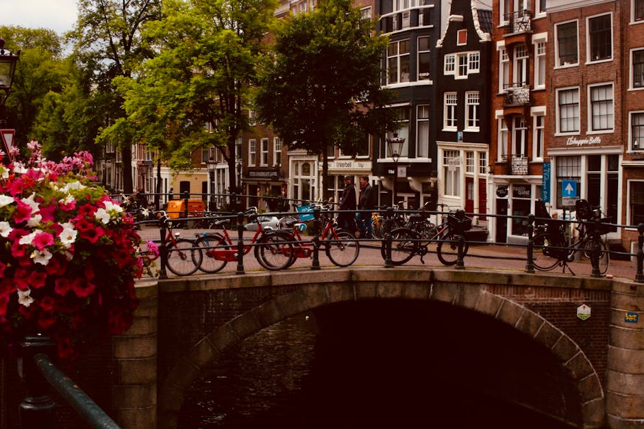 Best Things to Do in Amsterdam Travel Guide