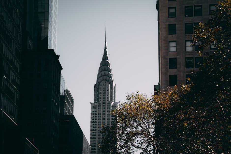 Best Things to Do in New York City Travel Guide