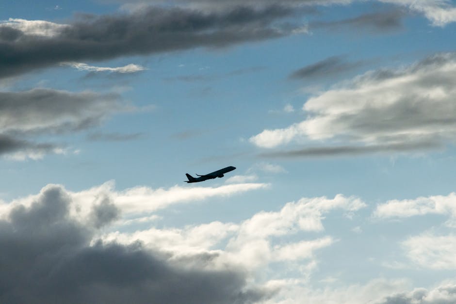 How to Earn Free Flights Using Points Guide