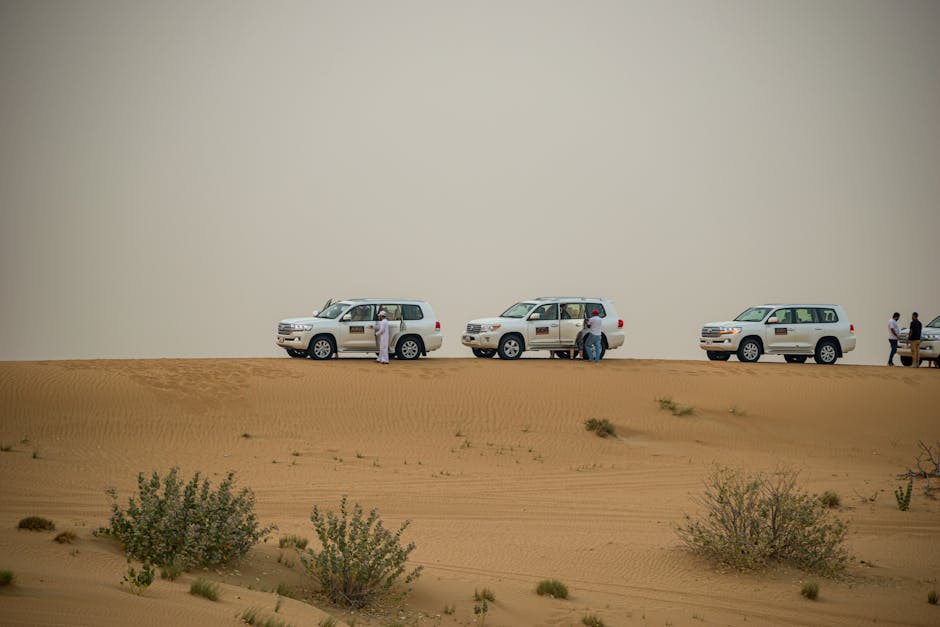 Dubai Desert Safari Complete Travel Guide