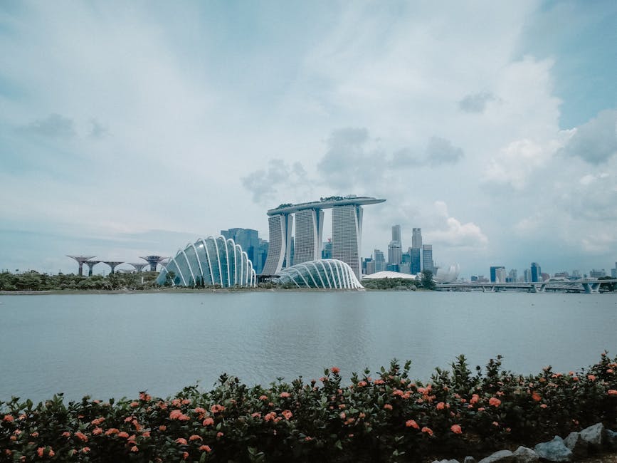 Gardens by the Bay Travel Guide: Everything You Need to Know Before Visiting
