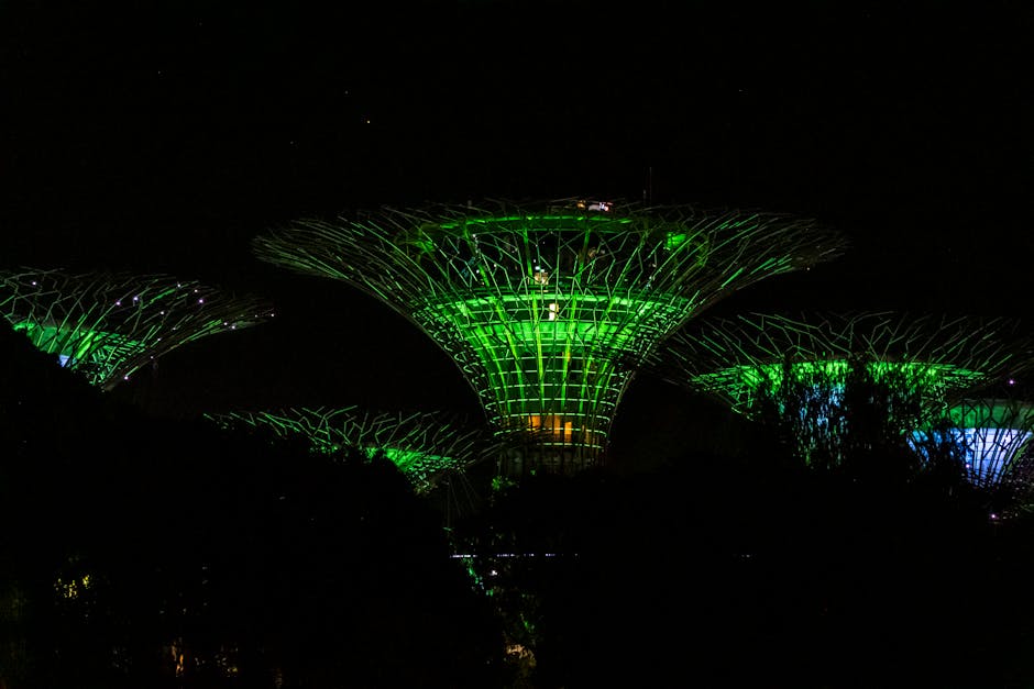 Singapore Night Safari Travel Guide
