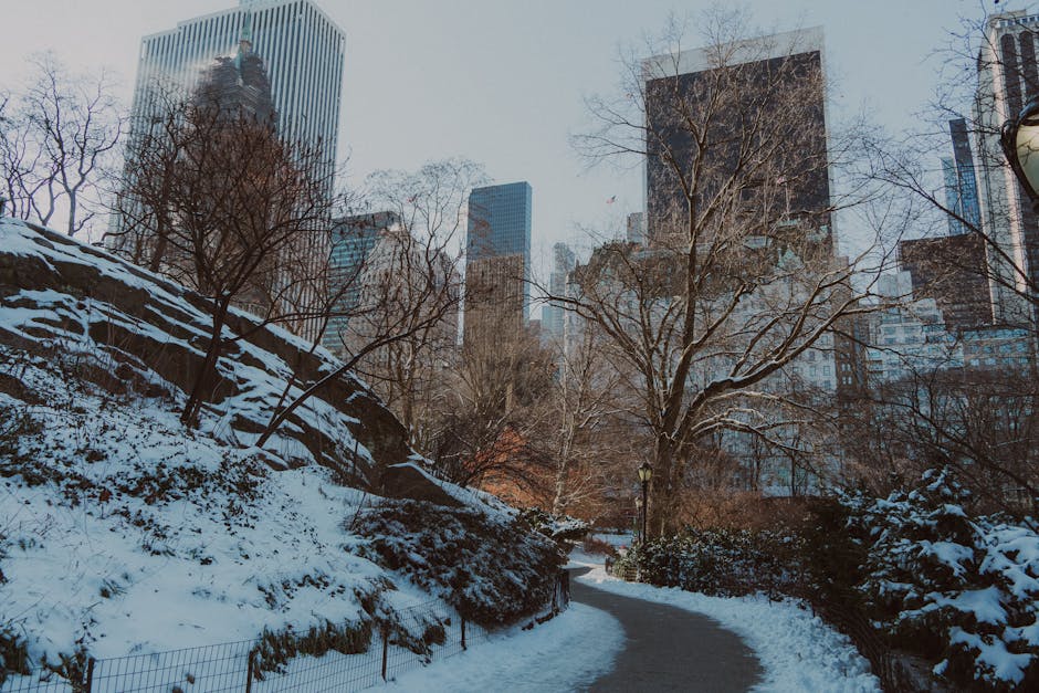 Central Park Travel Guide New York: Everything You Need to Know Before You Go