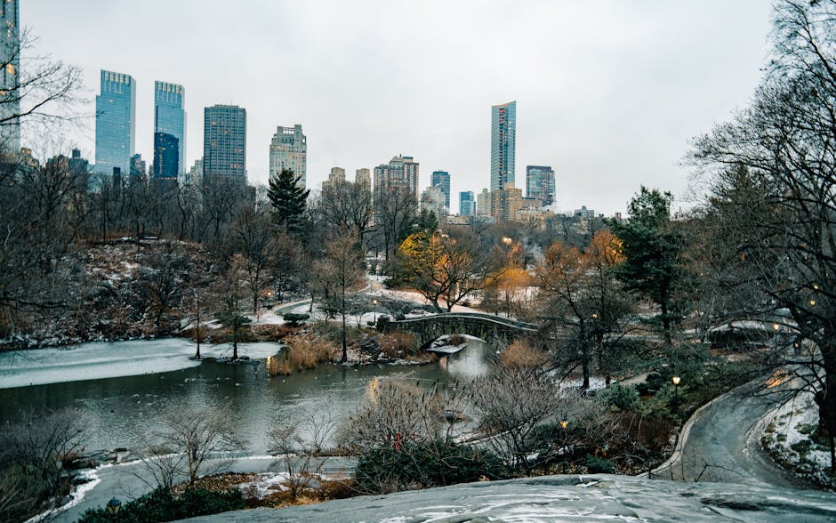 Central Park Travel Guide New York: Everything You Need to Know