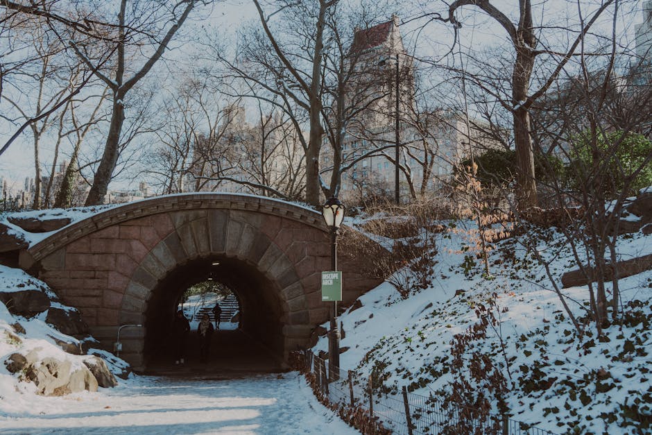 Central Park Travel Guide New York: What to See, Do, and Avoid